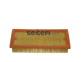 Air Filter (CA9629)