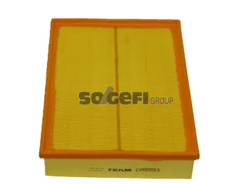 Air Filter (CA9993)