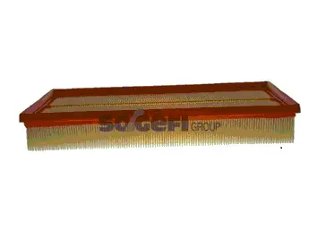 Air Filter (CA11062)