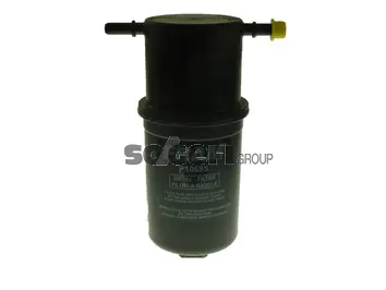 Fuel Filter (P10695)