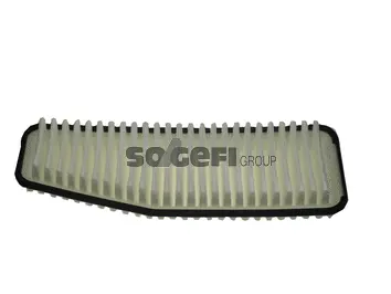Air Filter (CA9359)