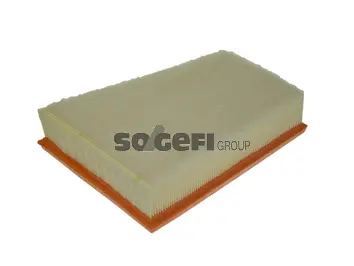 Air Filter (CA11655)