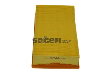 Air Filter (CA5799)