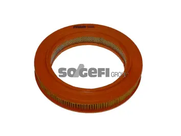Air Filter (CA5137)