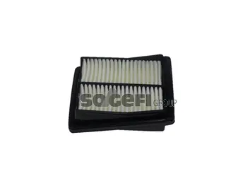 Air Filter (CA10233)