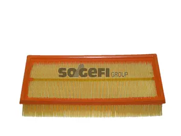 Air Filter (CA9497)