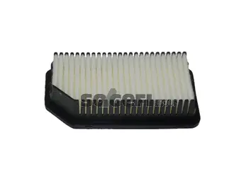 Air Filter (CA10699)