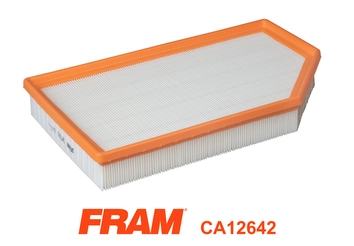 Air Filter (CA12642)