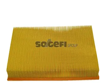 Air Filter (CA4540)