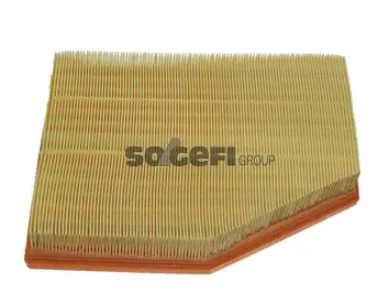 Air Filter (CA10022)