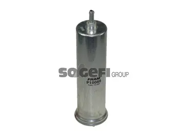Fuel Filter (P10089)