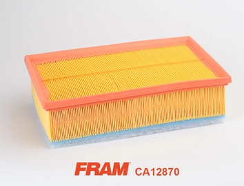 Air Filter (CA12870)