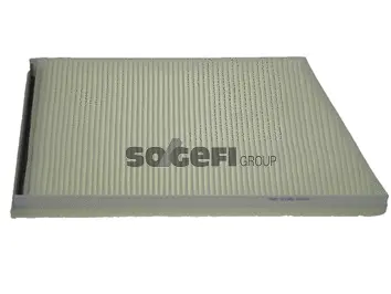 Filter, cabin air (CF10450)