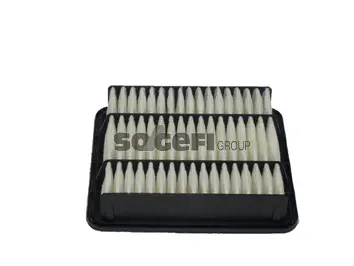 Air Filter (CA10463)
