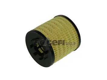 Oil Filter (CH9462ECO)