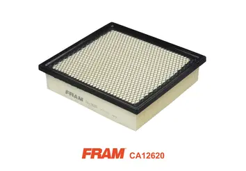 Air Filter (CA12620)