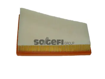 Air Filter (CA11099)