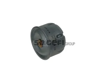 Oil Filter (P10291)