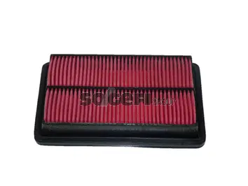 Air Filter (CA5595)