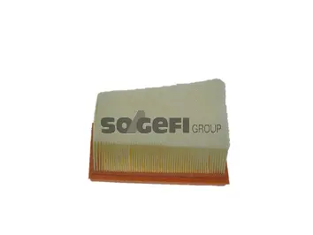 Air Filter (CA10249)