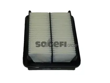 Air Filter (CA10064)