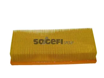 Air Filter (CA5351)