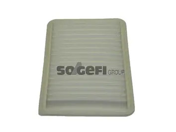 Air Filter (CA9894)