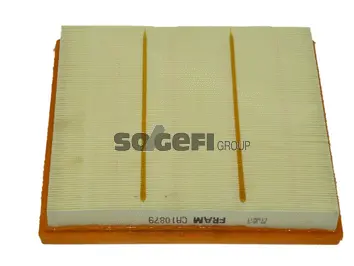 Air Filter (CA10879)