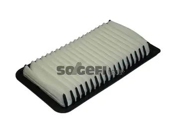 Air Filter (CA11459)