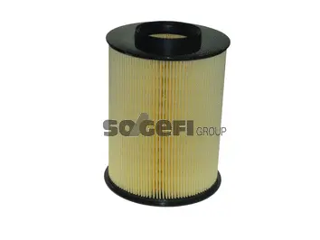 Air Filter (CA10521)