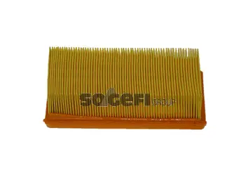 Air Filter (CA4556)