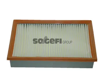 Air Filter (CA9658)