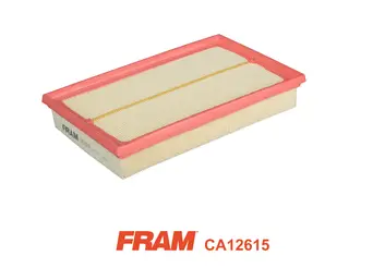 Air Filter (CA12615)