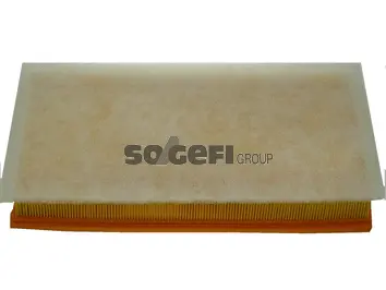 Air Filter (CA9424)