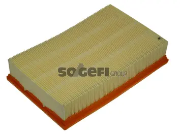 Air Filter (CA8919)