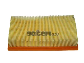 Air Filter (CA9513)