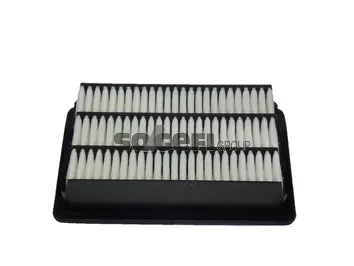 Air Filter (CA10539)