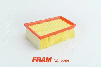 Air Filter (CA12269)