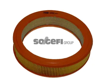 Air Filter (CA352)
