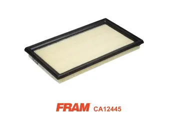 Air Filter (CA12445)
