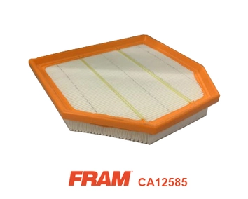 Air Filter (CA12585)