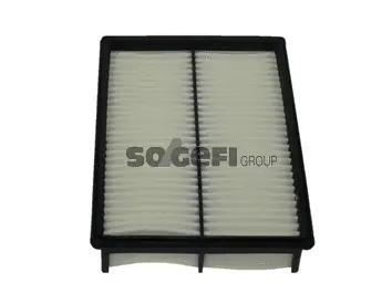 Air Filter (CA9898)
