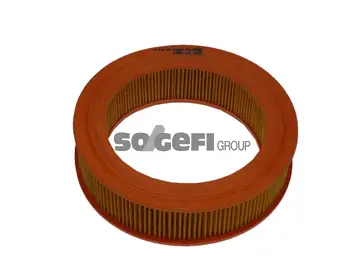 Air Filter (CA4285)