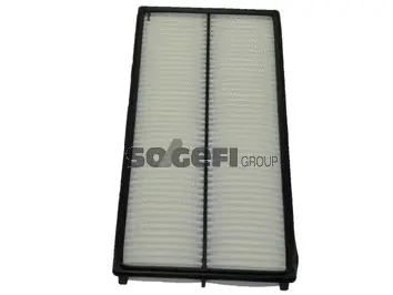 Air Filter (CA9019)