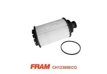 Oil Filter (CH12389ECO)