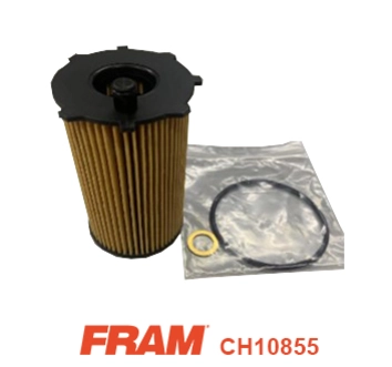 Oil Filter (CH10855)