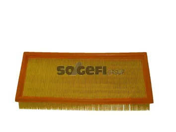 Air Filter (CA9573)