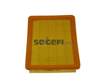 Air Filter (CA8162)