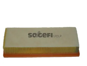 Air Filter (CA10522)