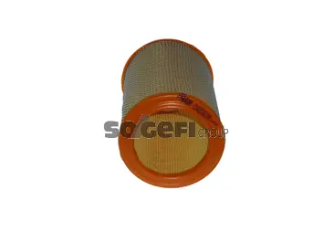 Air Filter (CA2663A)